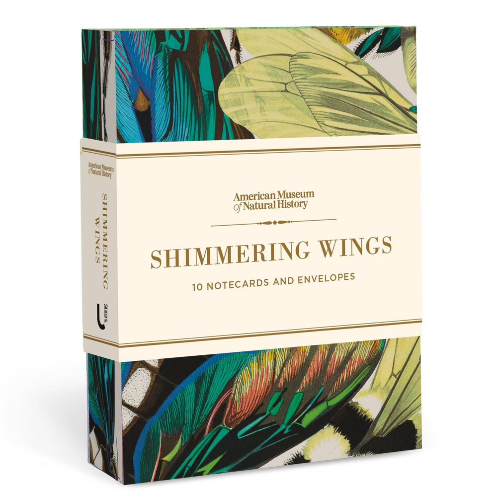 American Museum of Natural History 'Shimmering Wings' notecard and envelope set in a cream-colored box with vibrant green, blue, and black butterfly wing illustrations on the top and bottom.